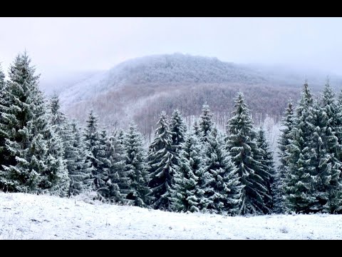 A Fehér-Nyikó völgye - URUSOS-Nagymedve Gyógy és Elvonuló Központ