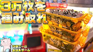 【企画】俺は30000枚を目指す！【メダルゲーム】