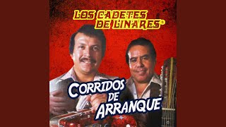 Monterrey Como Has Crecido