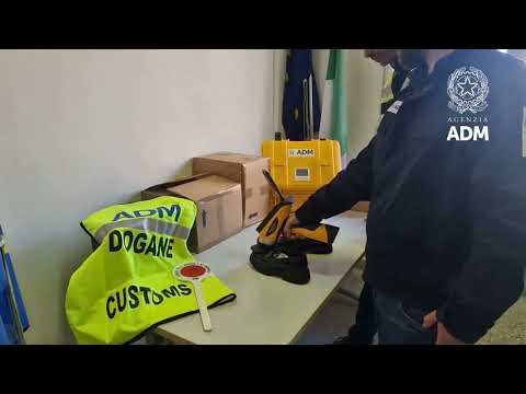 Porto di Livorno, sequestrate 3500 paia di scarpe irregolari