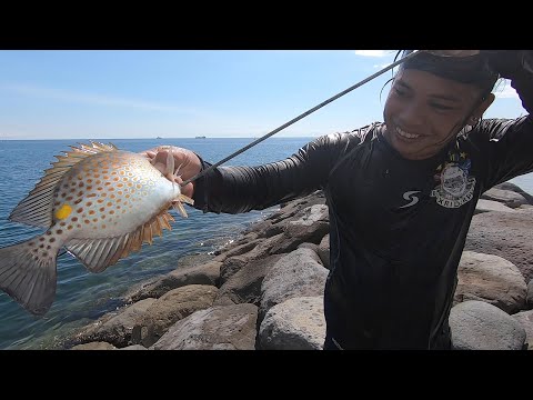 SE02EP10 P2 - PANINIBAT at PANINIKTIK ng TALABA sa Dalahican, Lucena City