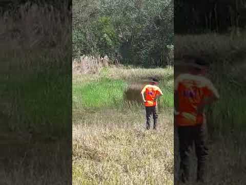 Fusca 4x4 do maritaca artilheiros de jaguapita