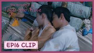 【The Romance of Tiger and Rose】EP16 Clip  They
