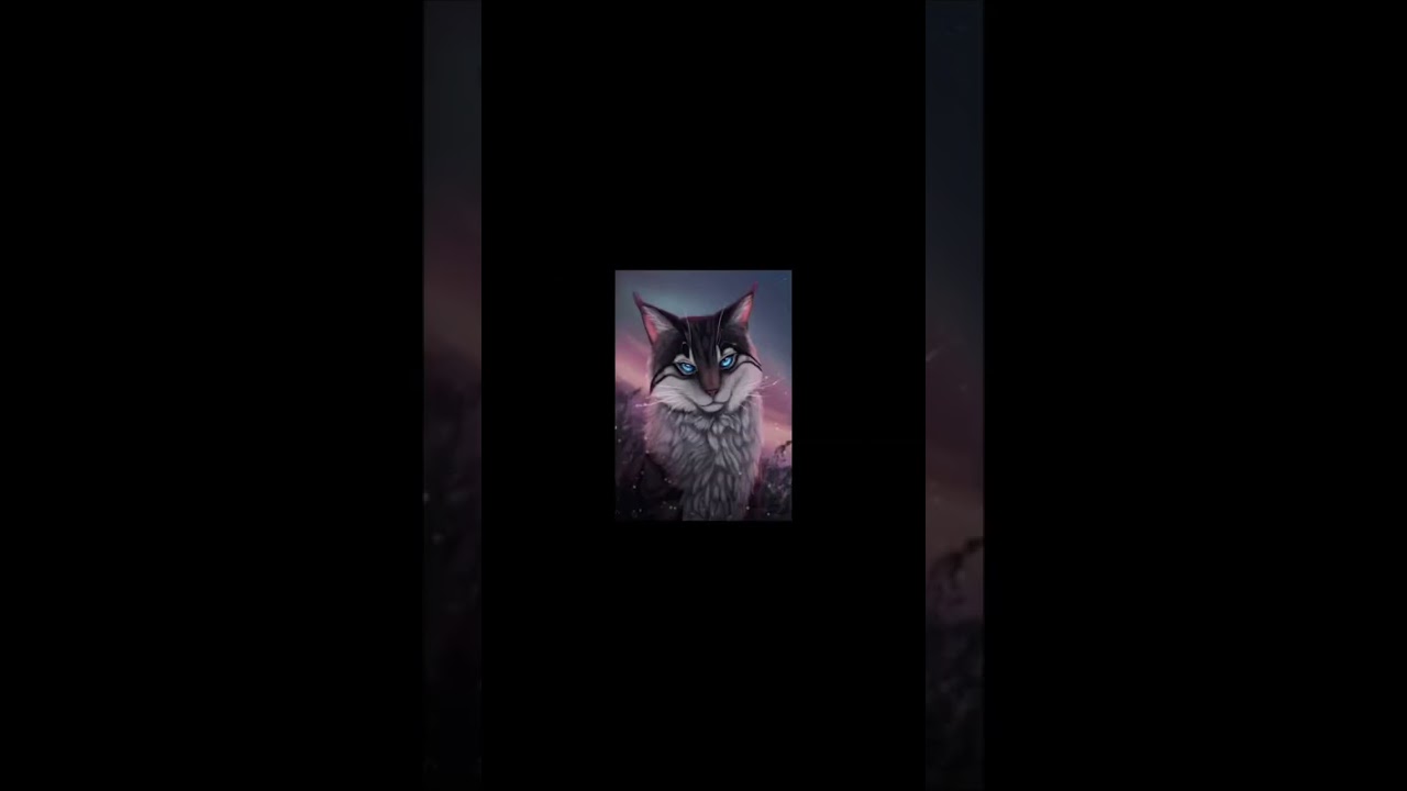 Photo dump 100+ || 148 photos lol || #warriorcats