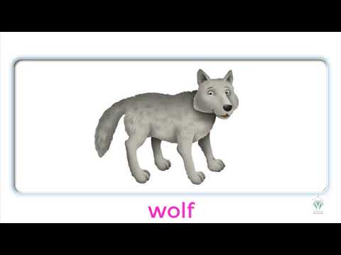 Oxford Phonics World 1; Unit 8; Lesson 1; w