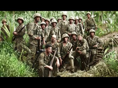 Japanese Troops Were Terrified By America's Jungle Warfare At Guadalcanal