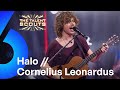 Halo (Beyoncé cover) // Cornelius Leonardus | The Talent Scouts