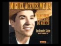 EL JINETE.- MIGUEL ACEVES MEJIA 