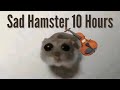 Sad Hamster Violin 10 Hours