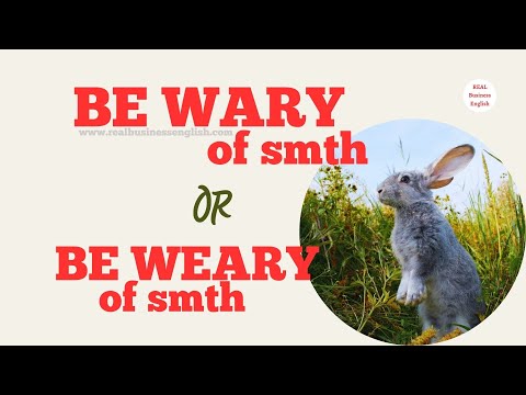 Business English vocabulary: be wary and be weary of something