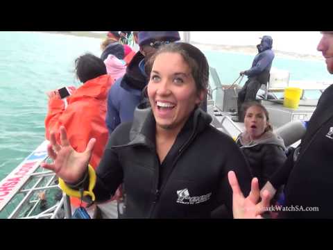 Gansbaai - Marine Dynamics Shark Cage Diving Experience