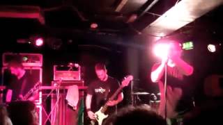 Earthtone9 - Serpentine Placement