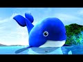 La Petite Baleine Bleue Comptines Et Chansons Pour Bébés Little Baby Bum En Français