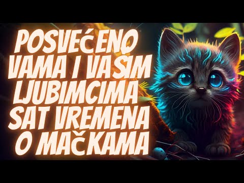 Posvećeno Vama i Vašim Ljubimcima: Sat Vremena o Mačkama