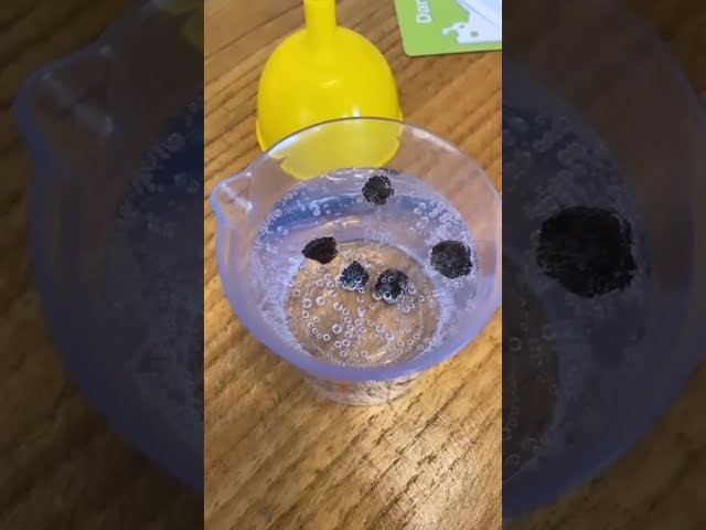 Vídeo relacionado con Learning Resources Tubos sensoriales de Primary Science, Set de 4.