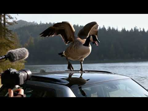 2026 Jeep® Grand Cherokee Reveal - Totally Wild Reviews!