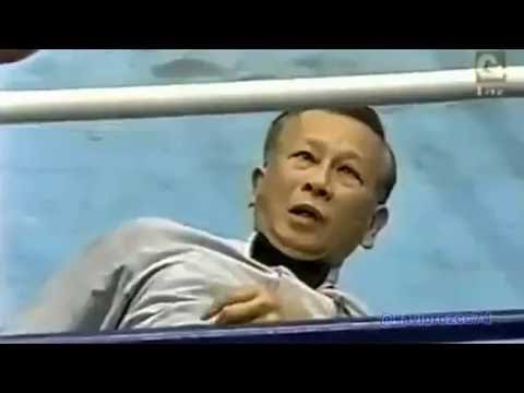 Referees Getting knocked out !!!