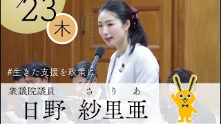2026.4.23.国民民主党日野紗里亜衆議院議員の地こデジ特別委員会質疑