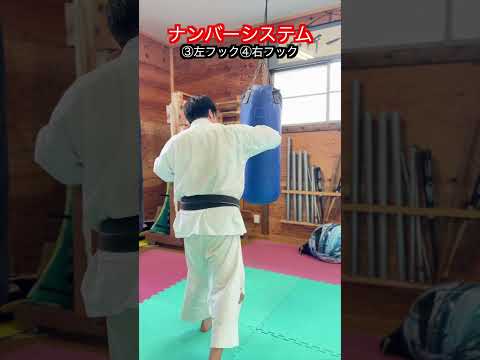 【武道・格闘技】パンチを打つ練習良い練習方法！？ナンバーシステム　解説！！　#aikido ＃karate #martial #武道 #空手＃合気道＃筋トレ#selfdefens