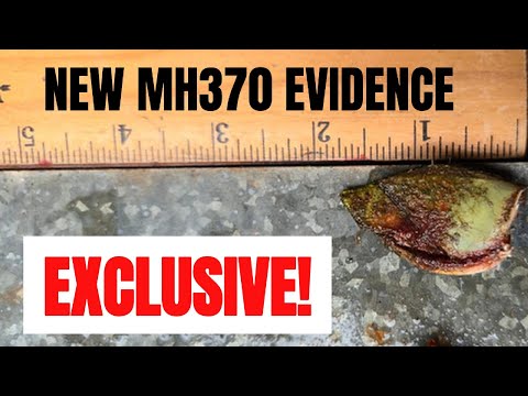 New MH370 Evidence from the Sea [S2Ep38]