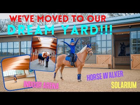WE HAVE MOVED TO OUR DREAM YARD!!! *STATE OF THE ART FOREST OAKS EQUESTRIAN*