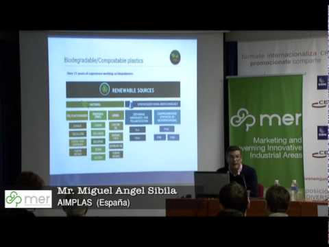 Miguel Angel Sibila, AIMPLAS (Espaa) - Workshop Valencia MER Project