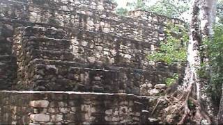 preview picture of video 'Coba Ruins, Youcatan, Mexico'