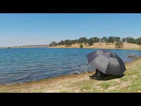Weekend At Lake Camanche