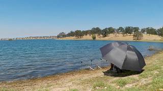 Late Summer Catfish and Carp Fishing from the Bank (Lake Camanche)