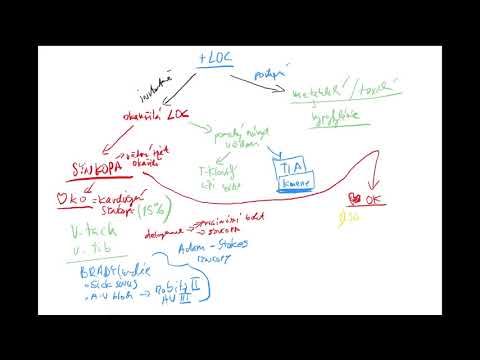 Vědomí 5 by Coiled CZECH (synkopa: kardiální, vazovagální, mikční, ortostatická, situační, TIA)