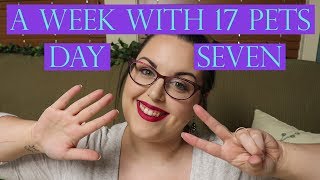 A Week In My Life With 17 Pets | Day Seven - SUNDAY