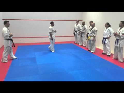 Gabor Rozsa & Darren Chan Demo Fight @ K3 Shinkyokushin Dorking Dojo