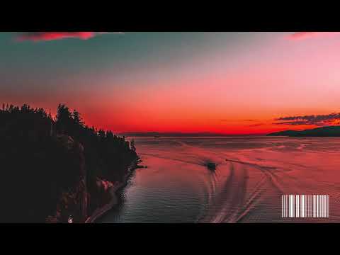 [FREE FOR PROFIT BEAT ]Rema x Burnaboy x AFROBEAT Type Beat | "BRACE", Free for profit  Type Beat