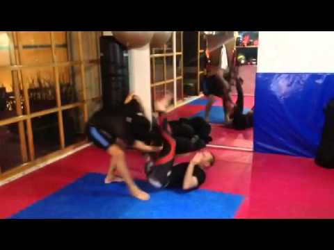 MMA training sample 2015