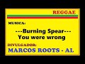 Burning Spear - You were wrong