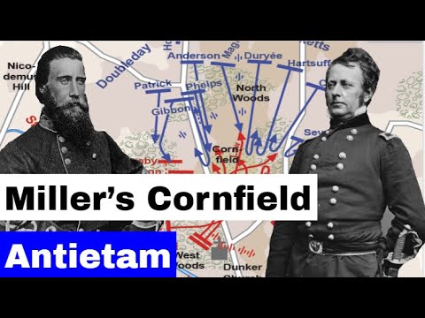 Miller's Cornfield, The Battle of Antietam | Animated Battle Map
