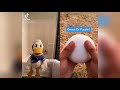 Donald Ducc Reacts To Satisfying TikToks 4 DONT LAUGH OR SMILE DonaldDucc
