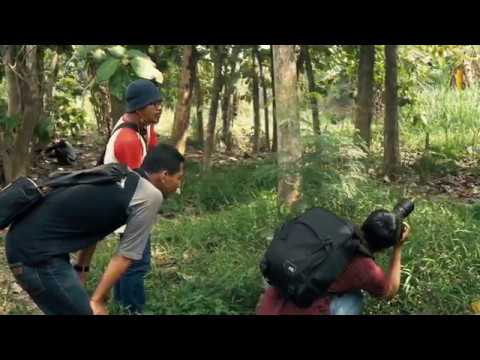 Behind The Scene Dalon Macro Park