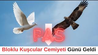 Altın ve Gümüşte Dar Bantta Kısa Paslaşmalar ,  Hürmüzde İki Tarafta Zamana Yayma Derdine Girdi