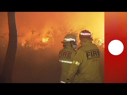 Feu de Bois Chaleureux Wii