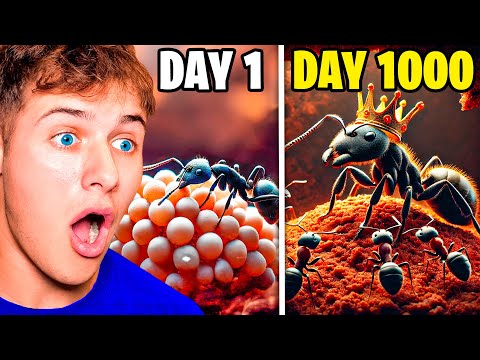 Reacting To 1000 DAY ANT COLONY SIMULATION