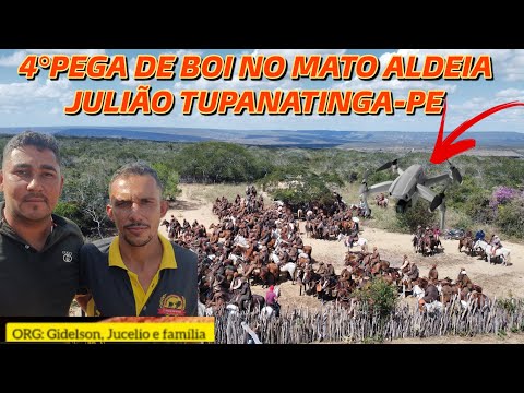 (DRONE) 4th OX CATCHING IN THE WOODS JULIÃO VILLAGE TUPANATINGA-PE ORGANIZATION: GIDELSON AND JUC...