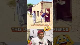 Download lagu this person suddenly recovered 🤣 #funnyshorts #usa mp3