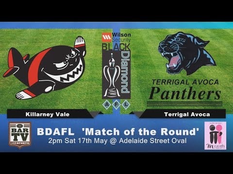 BDAFL Round 6 'Feature Match' - Killarney Vale v Terrigal Avoca
