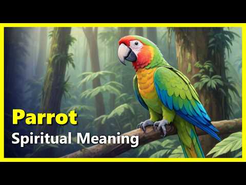 Spiritual Meaning of a Parrot