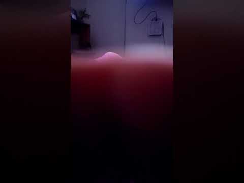 7 de diciembre de 2025