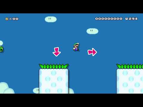 platforming fun by maximumhat 🌎 World Record! 🍄 Super Mario Maker 2 ✹Switch✹ #bke