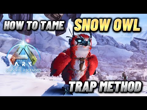 How To Tame A Snow Owl, Ark Survival Ascended Tame & Trap Guide!