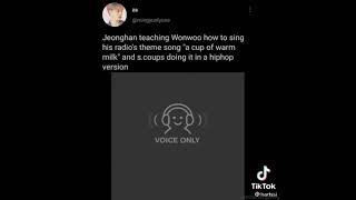 Download lagu Wonwoo ringtone 2 mp3