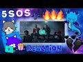 Diana's Reaction To 5 Seconds Of Summer Lie To Me Music Video Diana's Reaction To 5 Seconds Of Summer Lie To Me Music Video